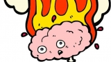 Hit for Brains Profile Picture