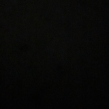 Damen.Nielson Profile Picture